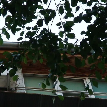 Queen Ambassade De France Appartement Bucarest