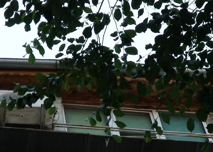 Queen Ambassade De France Apartment Bucharest